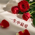 曾熙杰 - 只为你着迷