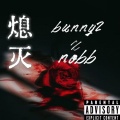 Bunny2、Nobb - 熄灭