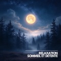Musique Calme et Relaxation、Relaxation Sommeil et Détente、Musique de Relaxation - Sons de Lune et Pluie pour Dormir