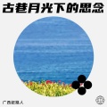 广西赶路人 - 你是长夜璀璨的烟花