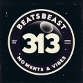 BeatsBeast 313、Brielle - Temporary Fixes (feat. Brielle)