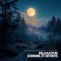 Musique Calme et Relaxation、Relaxation Sommeil et Détente、Musique de Relaxation - Sons Relaxants de la Nature pour Dormir