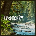 Relajación Profunda