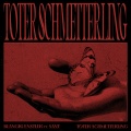Toter Schmetterling (Single Edit)