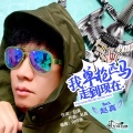 赵真 - 我单枪匹马走到现在
