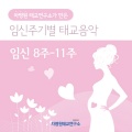 차병원 - 현악 사중주 황제 - 2악장
