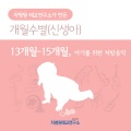 차병원 - 바흐: 두 대의 바이올린을 위한 협주곡 라단조 - 2악장