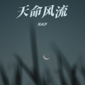 沈玄汐 - 天命风流