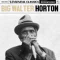 Big Walter Horton - Have a Good Time