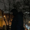 paraxenox - Лиса