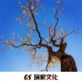 你是我的风景