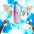 Fotonic Link - ARMOR