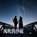曾强 - 风吹的沙砾