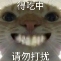 老飞宇66 - 鼠鼠小曲