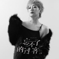 王娜 - 忘不了的过客