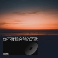 棋棋 - 你不懂我突然的沉默 (烟嗓版)