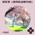 一颗糖果 - 樱花草