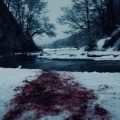 Shizzy - Blood Forest