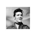 Elvis Presley - Holly Leaves And Christmas Trees