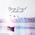 Sonidos De Aves - Feeling Lily