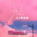DJ铁柱 - 想你
