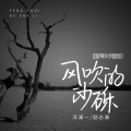洋澜一、励志豪 - 风吹的沙砾
