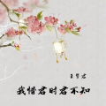 王梦君 - 我惜君时君不知