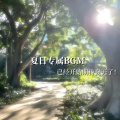 不凌. - 夏日专属BGM