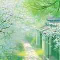 加盐橙子水、鸶夏 - 青染梁
