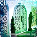 The Doors of Perception (Wolfgang Filz Remix)