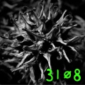31Ø8 - Volume