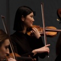 Soft Symphony: Orchestra for Peaceful Evenings