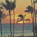 Ambulo - Fading Sunsets
