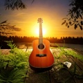Guitar Music for Meditation: Harmonic Stillness