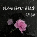 别再说我们只是过客