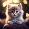 Música Para Gatos: Ritmos Elegantes Y Juguetones