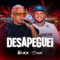 Desapeguei (Ao Vivo)