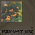 李可 - 我真的受伤了