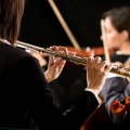 Tranquil Night: Orchestra for Relaxation