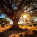 Movimientos Binaurales、Santuario de Relax、Los Paisajes - Evolución Melódica Reflexiva