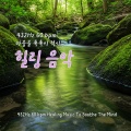 최영철 - 들꽃