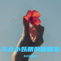 东北小妖精11 - 一抹伤