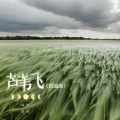 番番、韩圣 - 芦苇飞