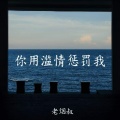 你用滥情惩罚我
