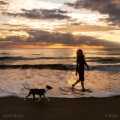 Noemi - Notte inutile