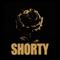 Jairo Vera、Miky Woodz、Casper Magico、Gino Mella、King Savagge、Remers - shorty
