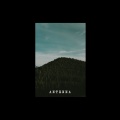 Acceptancia - Antenna