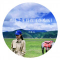我终于等到你（伤感版）