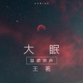 王茗 - 大眠