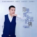 崔伟立 - 你是我永远的痛